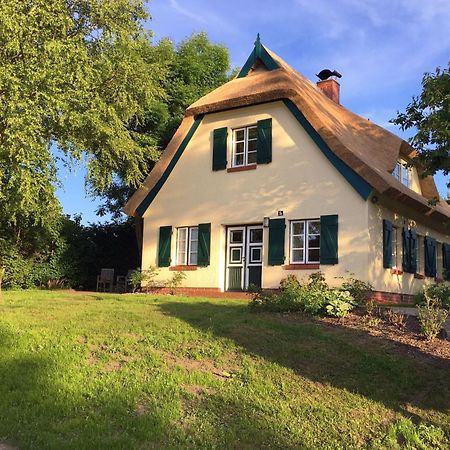 Ferienhaus Preetz 1A - Idylle Unter Reet Burtevitz Luaran gambar