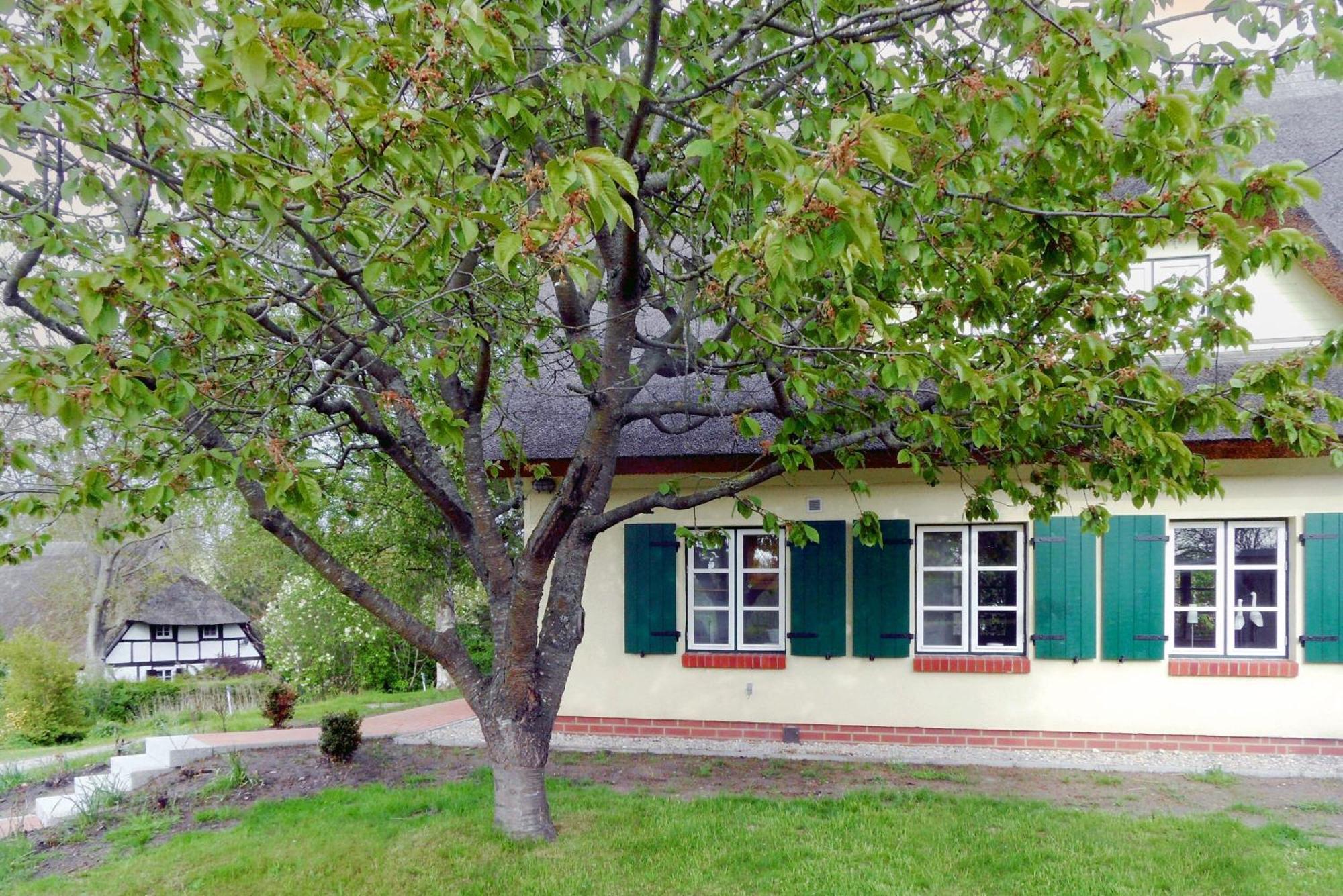 Ferienhaus Preetz 1A - Idylle Unter Reet Burtevitz Luaran gambar